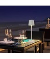 Oplaadbare LED tafellamp Binnen/buiten - Wit, IP54 buiten, touch dimbaar