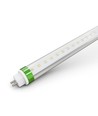 Tube LED 120cm / 19W T5-FOCUS120 - 175lm/W, angle de diffusion 60 degrés, faisceau étroit