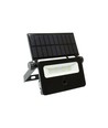 Projecteur solaire LED 2W - Batterie intégrée, avec capteur, extérieur, lampe de travail