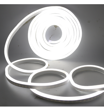 8x16 Blanc froid Neon Flex LED 8W par mètre - 24V DC, IP67