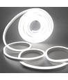 8x16 Blanc froid Neon Flex LED 8W par mètre - 24V DC, IP67