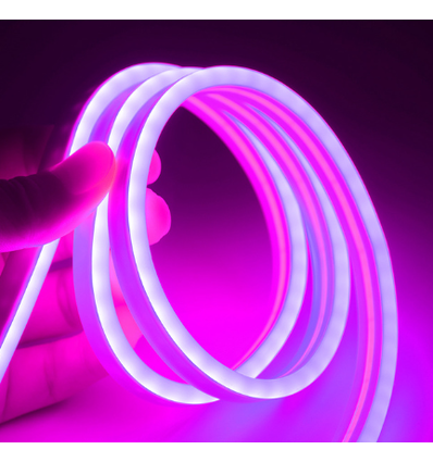5m 8W par mètre Violet 8x16 Neon Flex LED - 12V DC, IP67