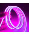 5m 8W par mètre Violet 8x16 Neon Flex LED - 12V DC, IP67