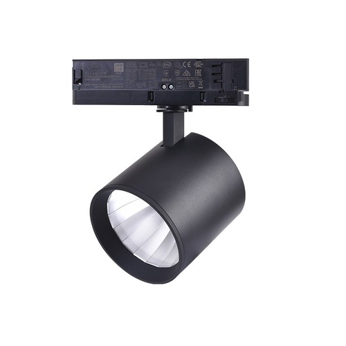 Projecteur sur rail triphasé 30W RA90 - 175 lm/W, 38 degrés, Noir