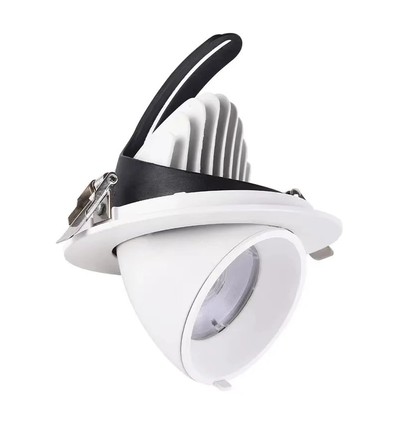 30W Ø16,5cm Downlight - Hull: Ø15 cm, Mål: Ø16,5 cm, 4100lm, Justerbar vinkel