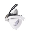 30W Ø16,5cm Downlight - Zaagmaat: Ø15 cm, Afmetingen: Ø16,5 cm, 4100lm, Verstelbare hoek