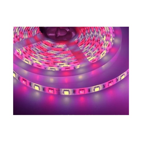 5m 10,8W/m RGB+WW LED strip - 60 LED pr. meter