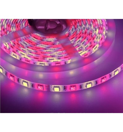 5m 10,8W/m RGB+WW LED strip - 60 LED pr. meter