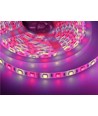 5m 10,8W/m RGB+WW LED-strip - 60 LED's per meter