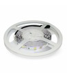 5m 4,2W/m LED-strip - 12V DC, 60 LED's per meter