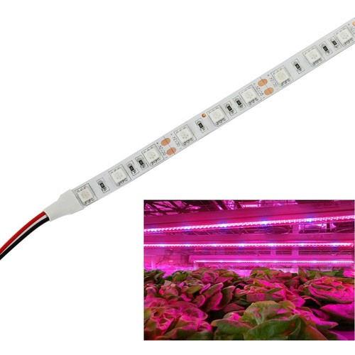 9,6W/m spatwaterdichte groe LED-strip - 5m, 60 LED per meter, IP65