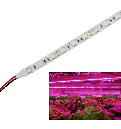 Bande LED de croissance étanche IP65 9,6W/m - 5m, 60 LED par mètre