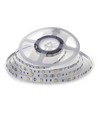 5m 4,8W/m LED-strip - IP20, 30 LED per meter