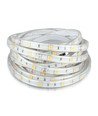 5m 4,8W/m spatwaterdichte LED strip - IP65, 30 LED