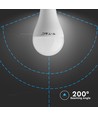 B22 15W LED-lamp - A65, krachtige lamp