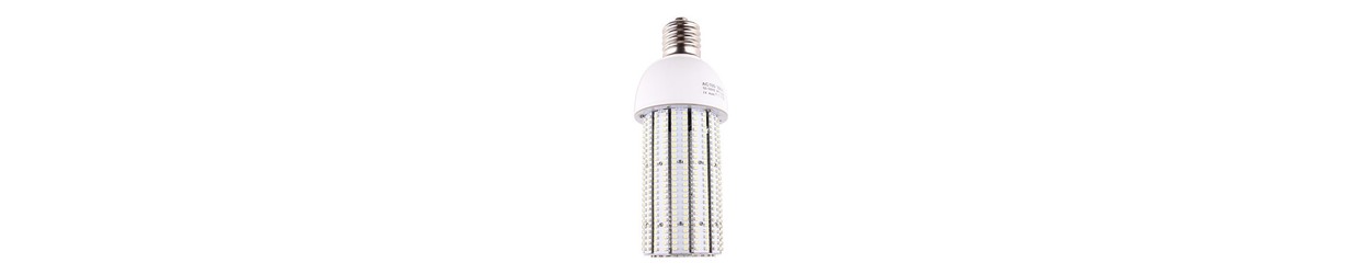 Ampoules LED E27 Puissantes