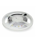 Enkelkleurige LED Strips