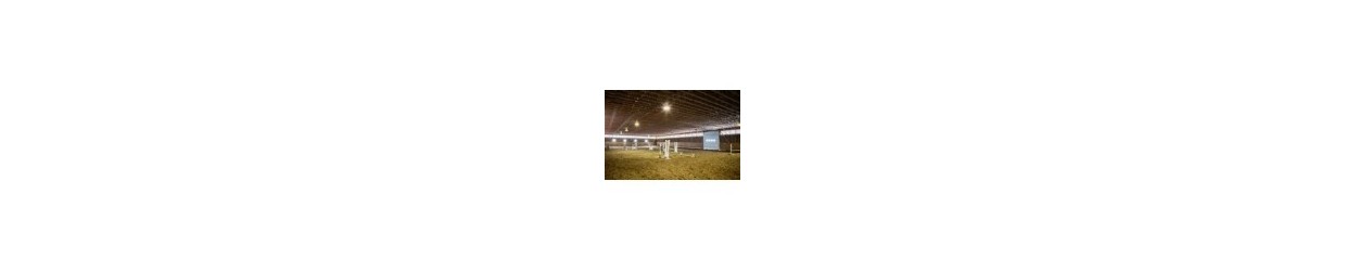 Rijhal Plafondverlichting